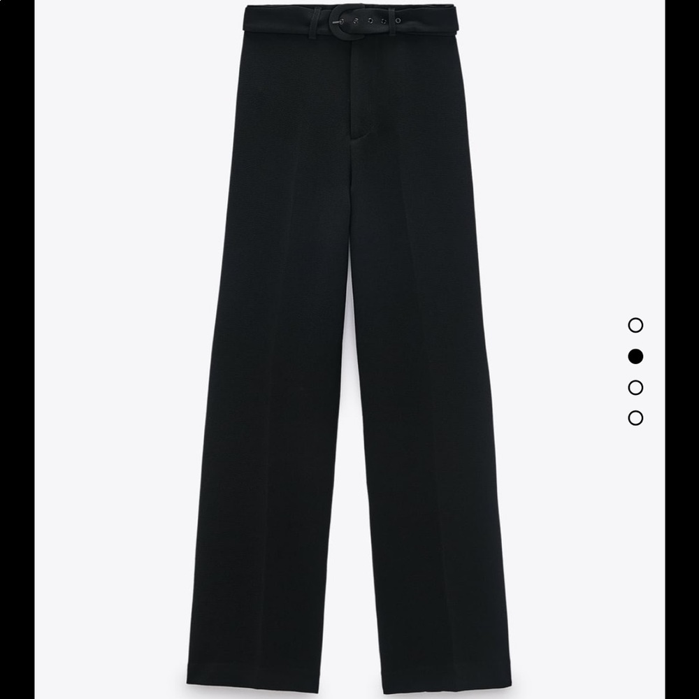Zara belted textured pants